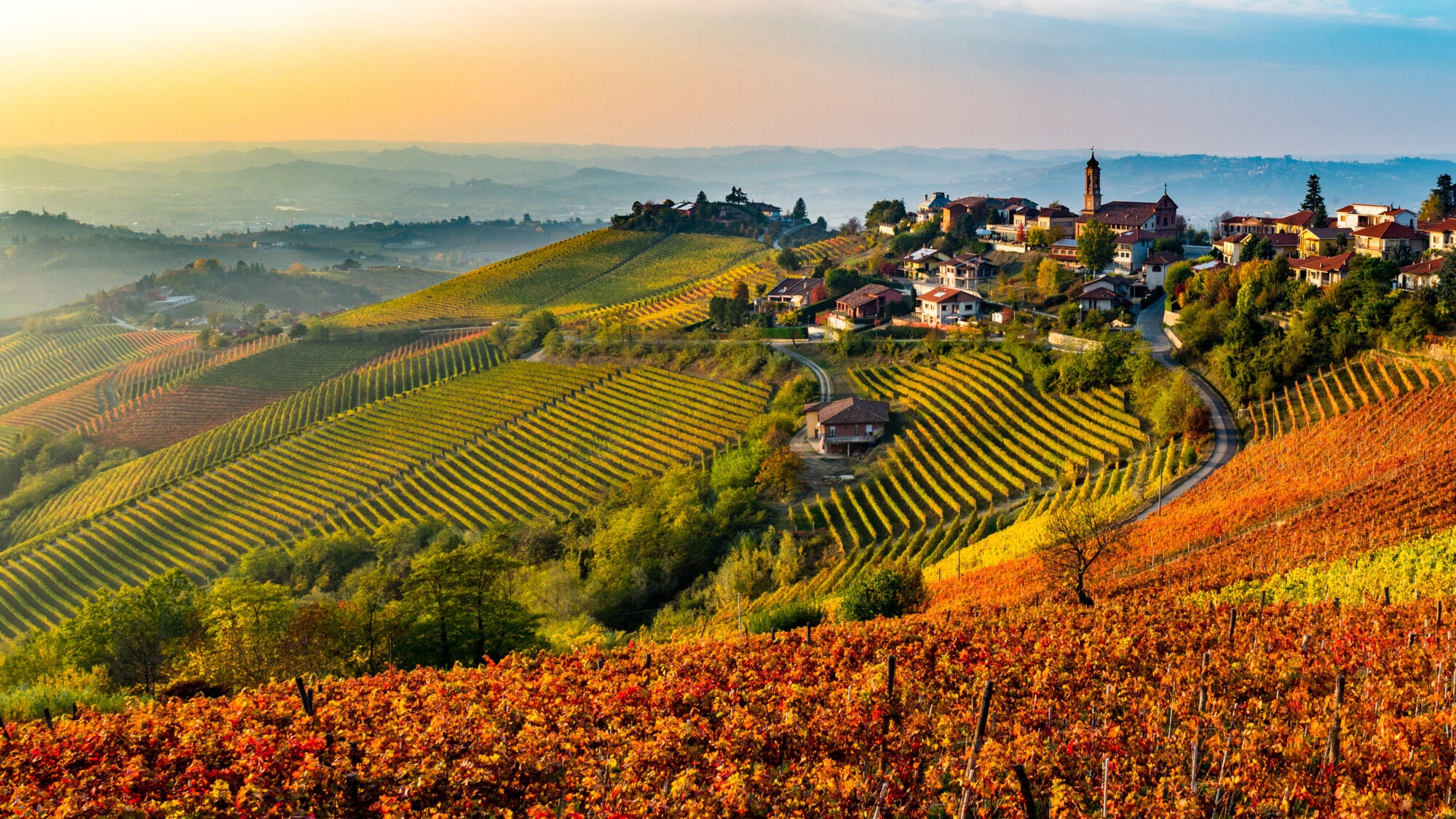 Le LANGHE: sapori e colori d’autunno con pranzo tipico