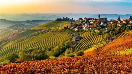 Le LANGHE: sapori e colori d’autunno con pranzo tipico