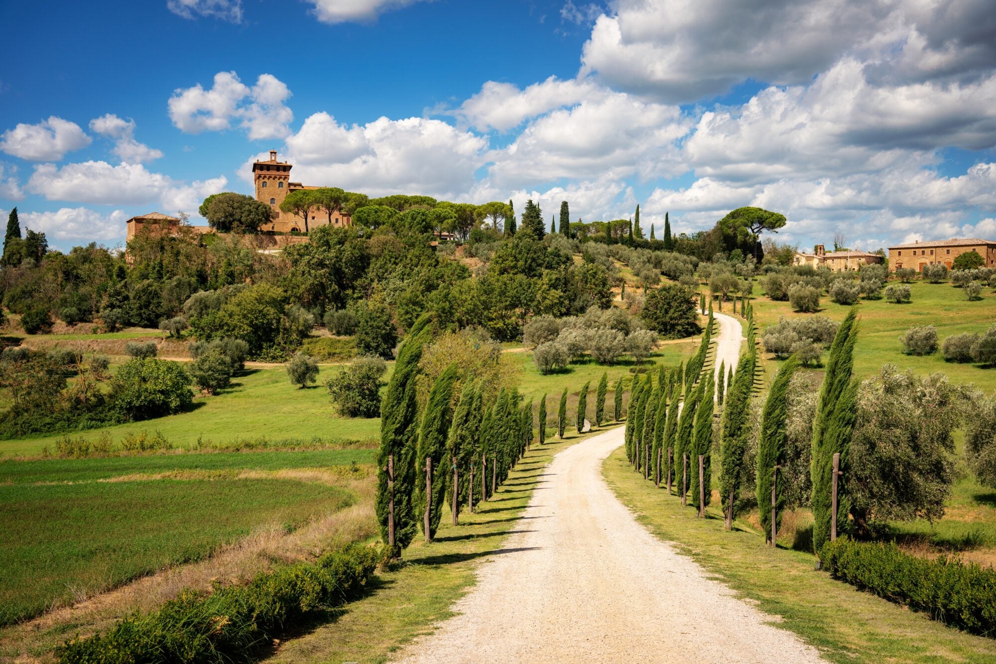 TESORI TOSCANI: tra borghi e colline