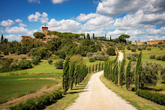 TESORI TOSCANI: tra borghi e colline