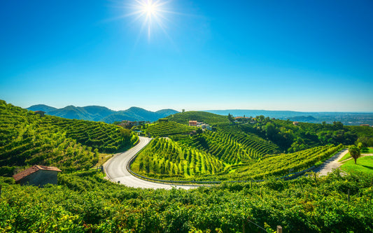 VENETO: tra arte, vigneti & bollicine
