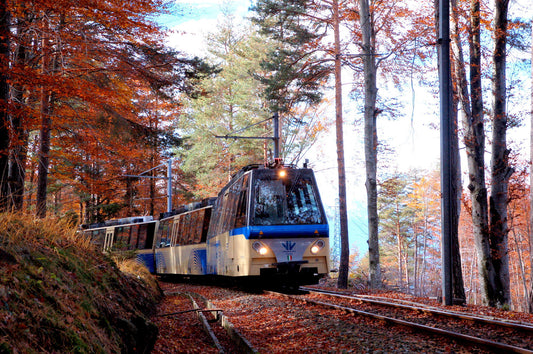 Tour Domodossola & Il treno del FOLIAGE