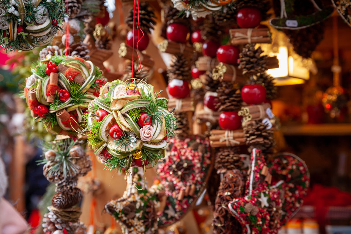 Tour il magico paese di Natale: Asti e il presepe vivente di San Damiano